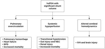 Should we “eliminate” PDA shunt in preterm infants? A narrative review